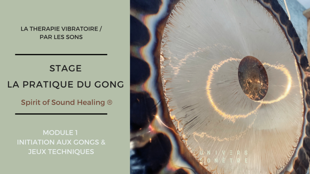 PRATIQUE DU GONG MODULE 1