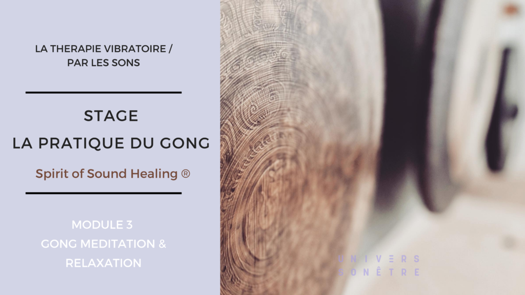 PRATIQUE DU GONG MODULE 3