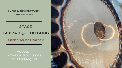 PRATIQUE DU GONG MODULE 1