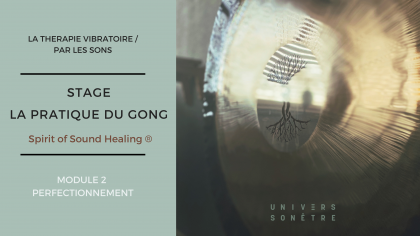 PRATIQUE DU GONG MODULE 2